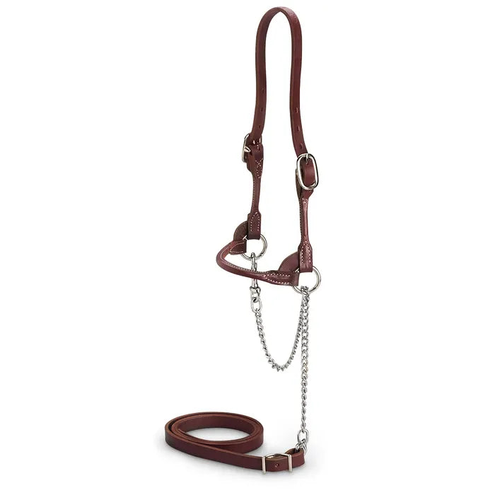 Licol slim de présentation marron